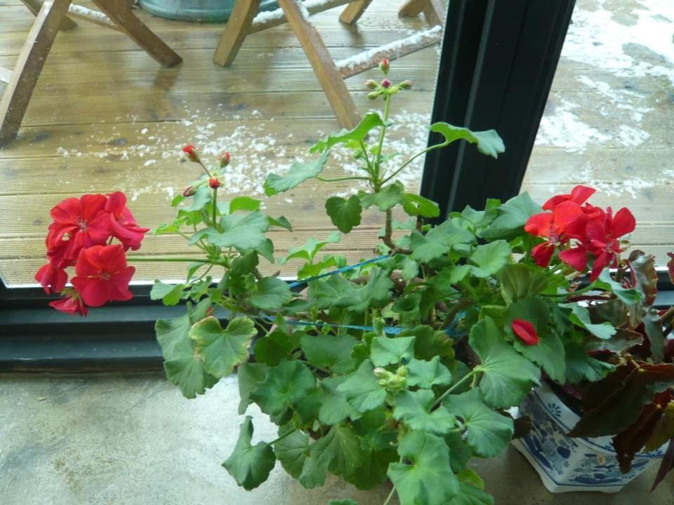 Guesthouse In Picture Чонджу Екстериор снимка